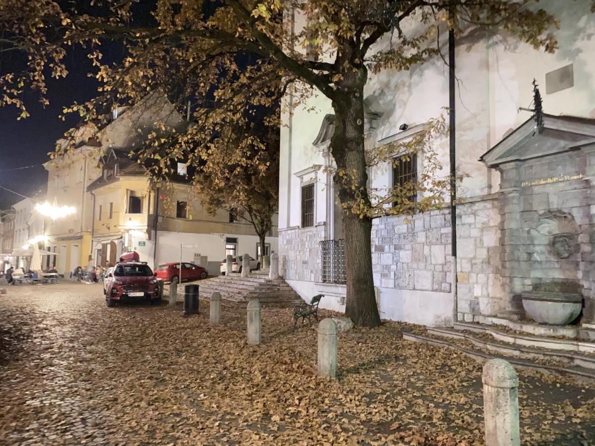 Villa Pod Gradom Ljubljana Ngoại thất bức ảnh